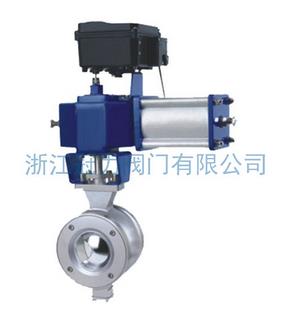 V型球閥ZSSV了解她的靈魂，才能地選擇她！